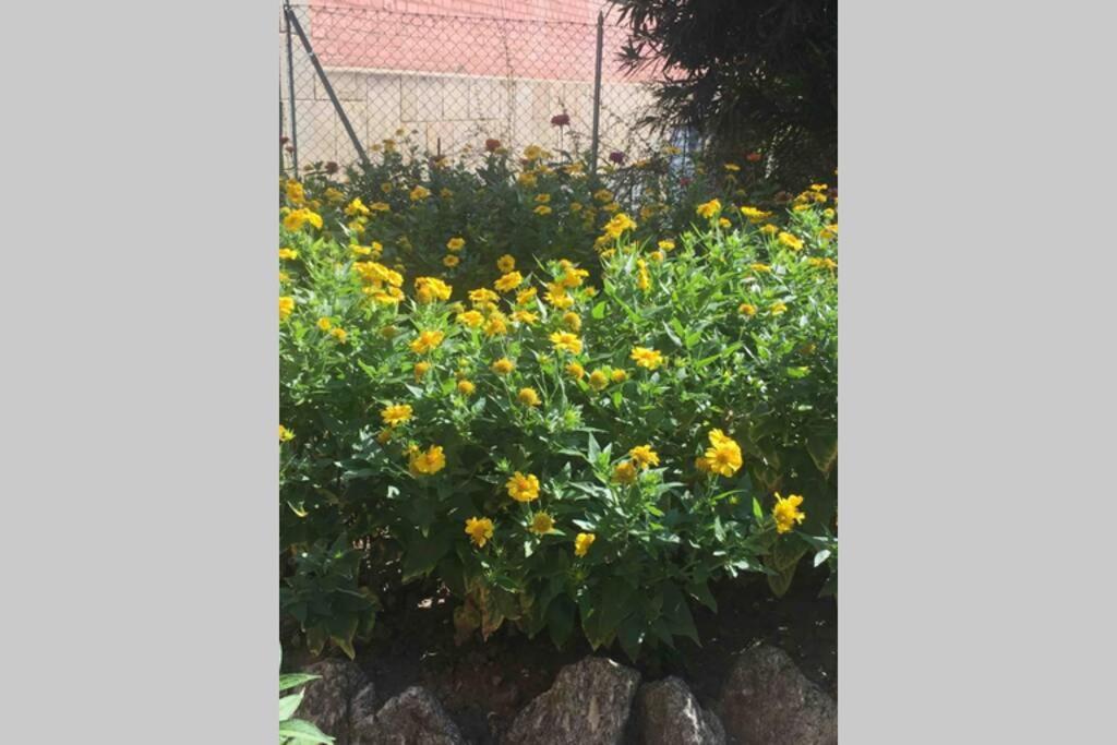 House Bologna Stazione Mazzini Flat X 2 Apartment Ngoại thất bức ảnh